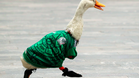 FIFA nombra al Pato Merlín embajador oficial de CDMX
