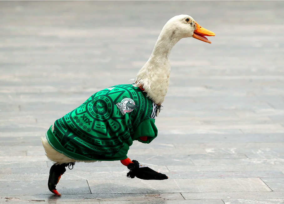 FIFA nombra al Pato Merlín embajador oficial de CDMX