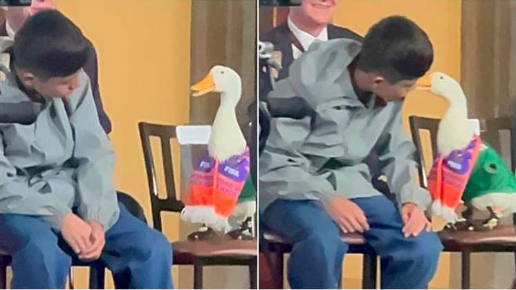 El Pato Merlín 