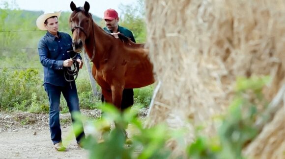 Crean ‘Kawayo’ en Nuevo León, un megarefugio que busca ser el santuario para caballos más grande de Latinoamérica