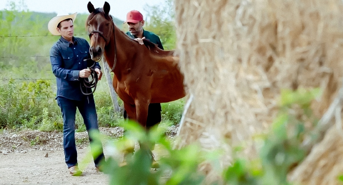 Crean 'Kawayo' en Nuevo León, un megarefugio que busca ser el santuario para caballos más grande de Latinoamérica