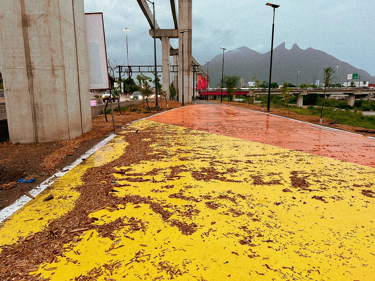 Gobierno de Nuevo León evalúa afectaciones por lluvias en el Parque Lineal