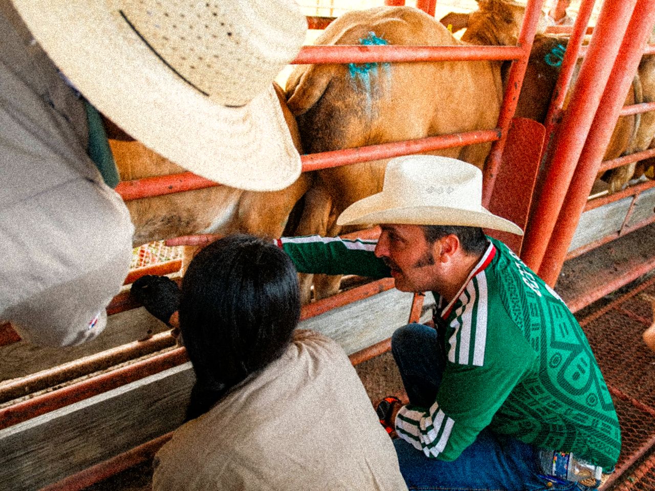 Nuevo León refuerza medidas preventivas contra el gusano barrenador en puntos de verificación