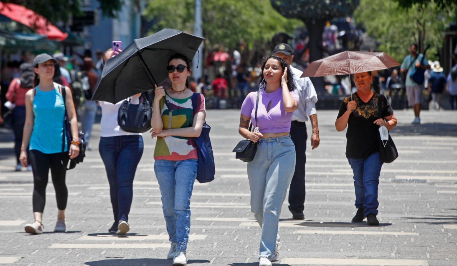 Clima en Monterrey hoy