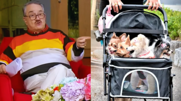 VIDEO: Pedro Sola dice que le dan ganas de “envenenar” a los perritos que entran a las tienda
