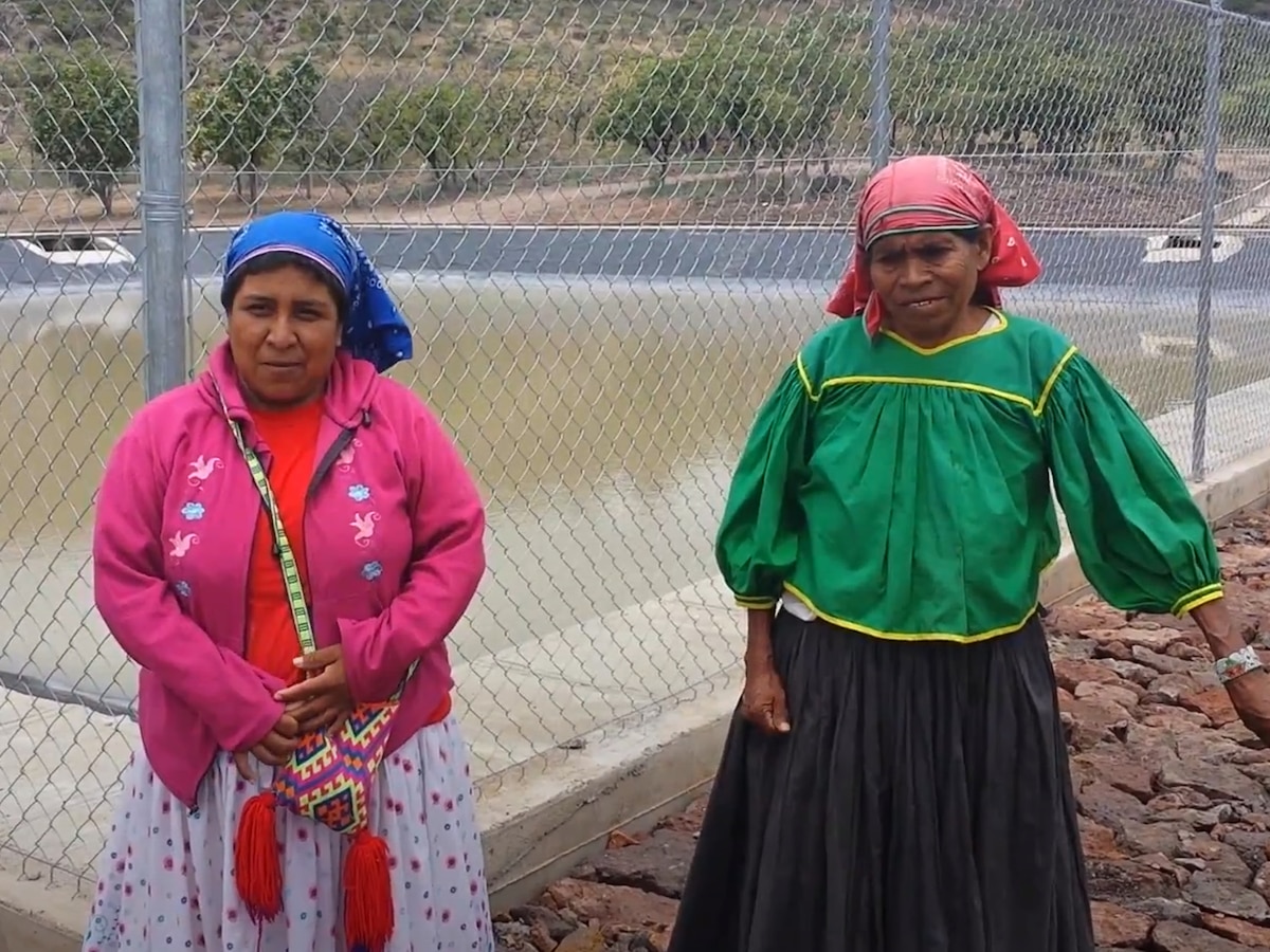 Pueblos indígenas y afromexicanos revisarán artículo por artículo de la ley de derechos