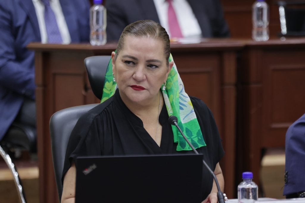 INE vigilará revisión de candidaturas, pero partidos tendrán la última palabra