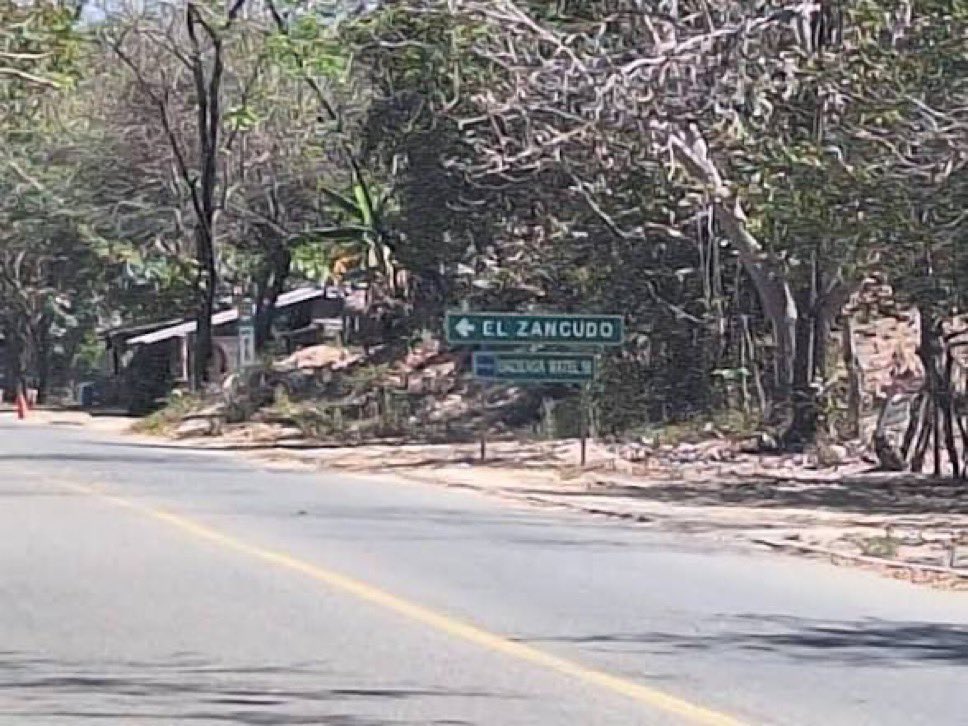 Localizan con vida a tres estudiantes desaparecidos desde el 25 de junio en Puerto Vallarta