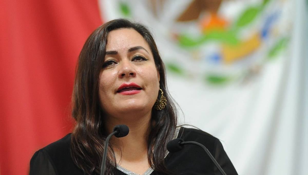 Morena propone en el Congreso la ‘Ley Anti Pedro Sola’ contra la incitación pública a la violencia