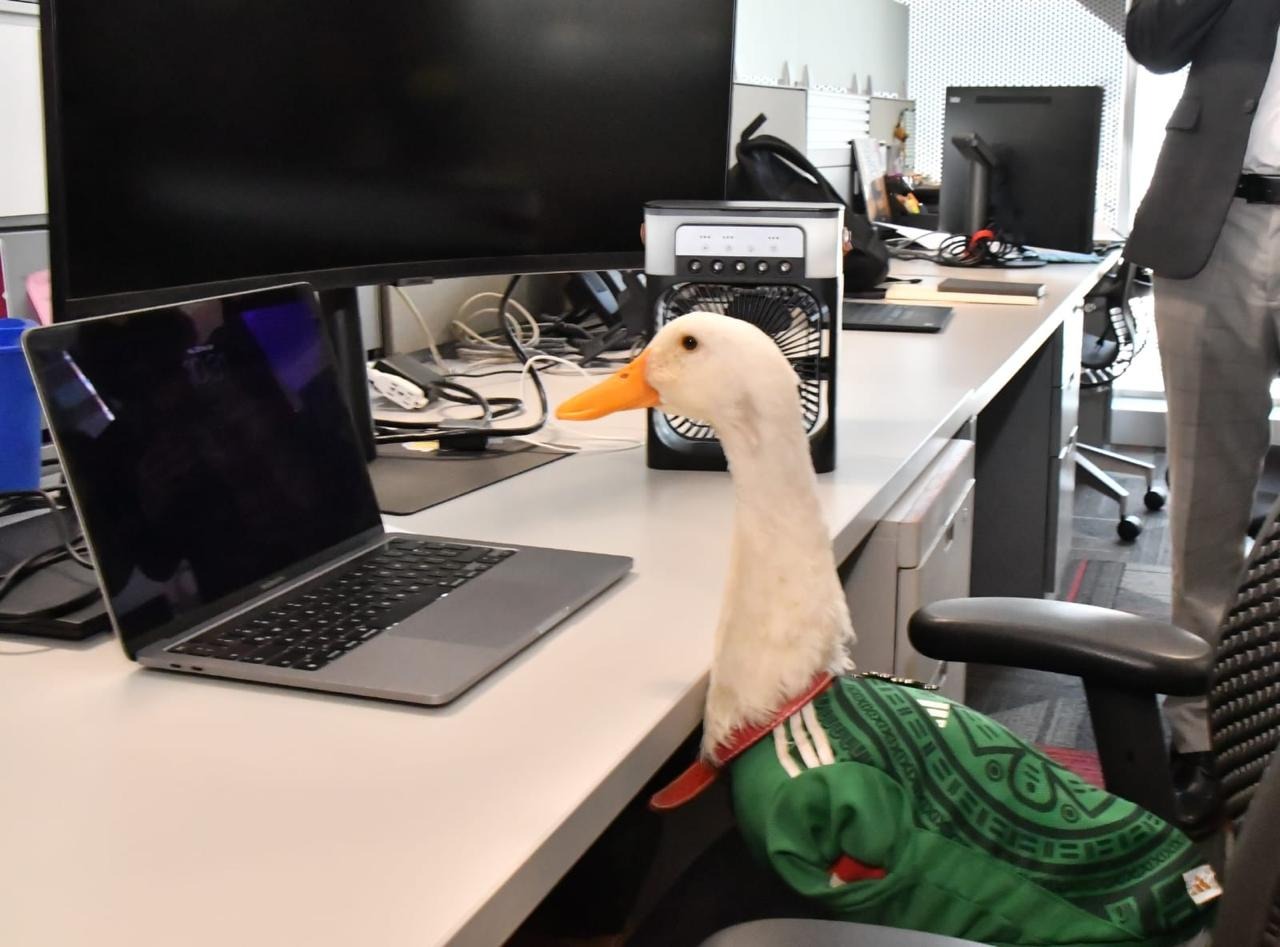 Prohibido “hacerse pato”: Congreso de la CDMX impulsa la Ley Merlín