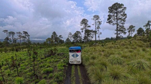 CDMX: Investigan hallazgo de tres personas sin vida en la alcaldía Milpa Alta