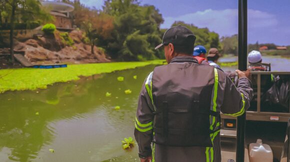 Comisión Nacional del Agua remueve casi el 60% del lirio acuático invasor en la presa La Boca
