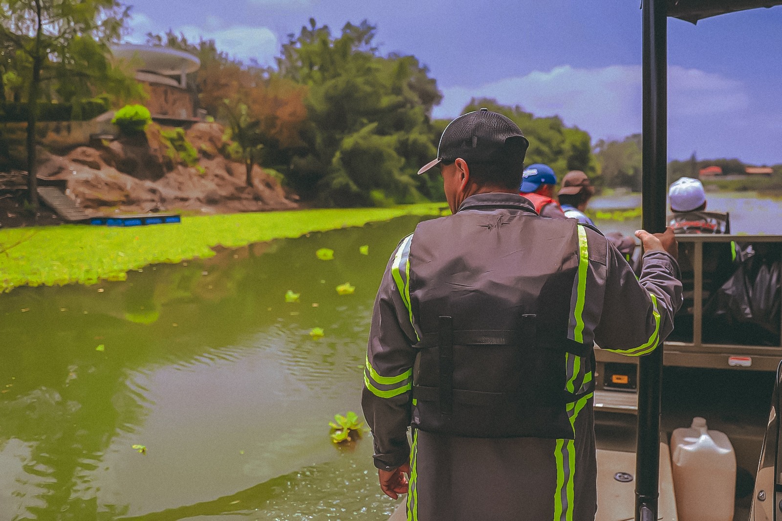 Comisión Nacional del Agua remueve casi el 60% del lirio acuático invasor en la presa La Boca