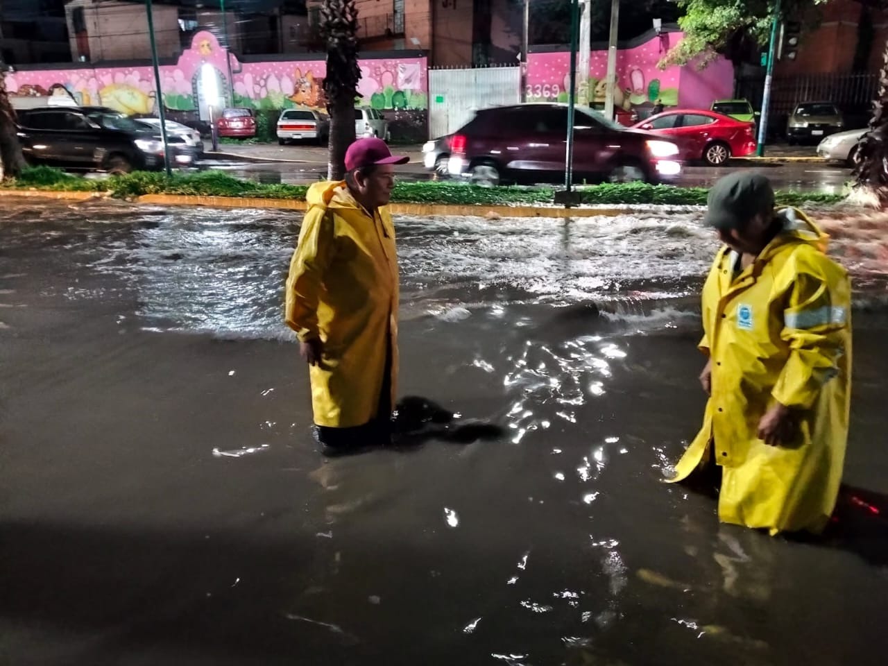 Tormenta deja inundaciones y 20 árboles caídos en Ciudad de México