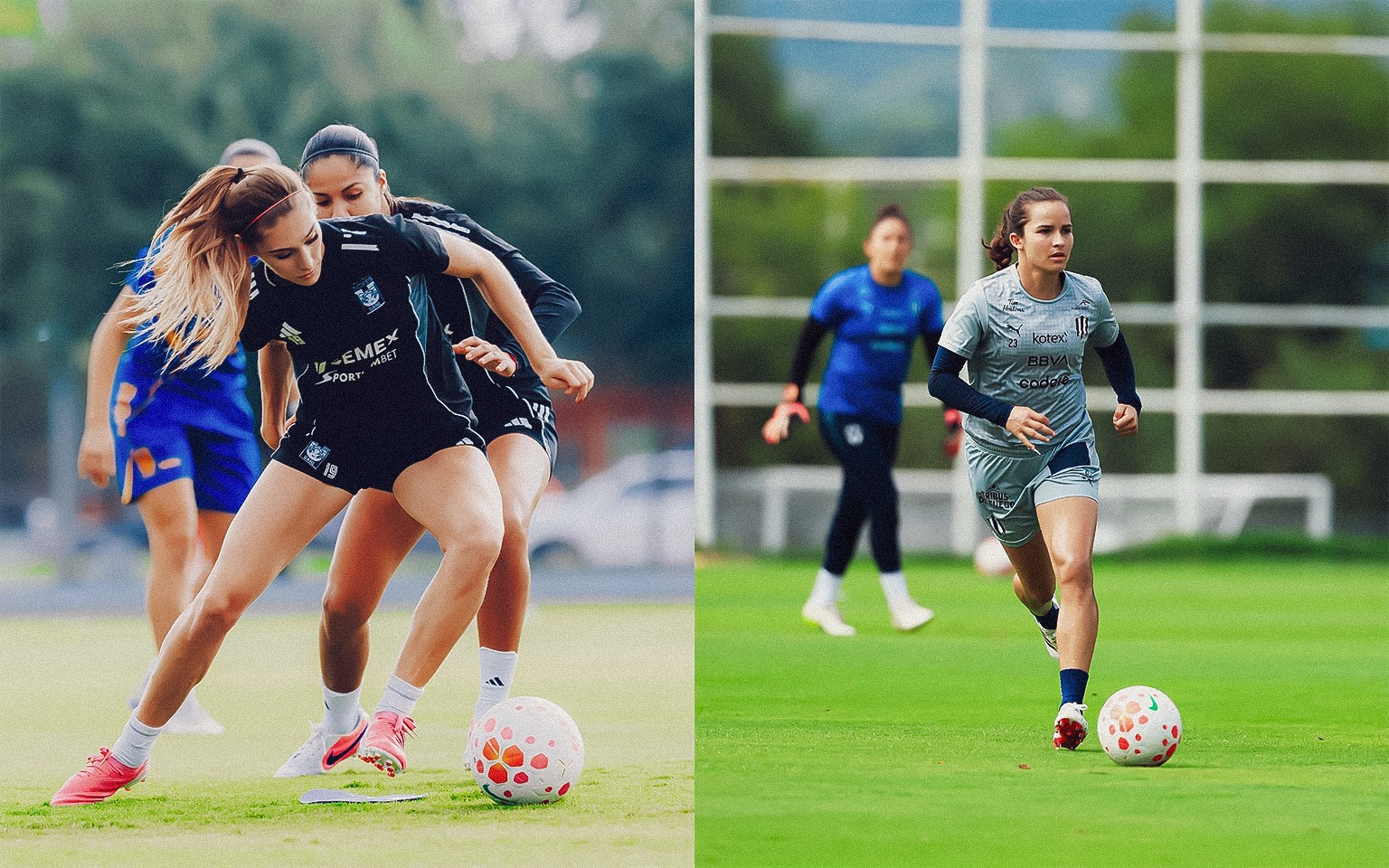 Incertidumbre en la Liga MX Femenil: diferencias por el nuevo formato retrasan la publicación del calendario del Apertura 2026