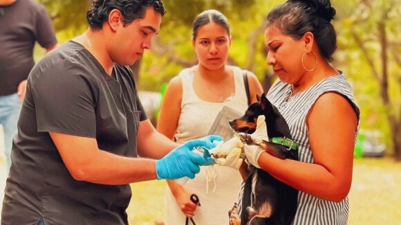 Municipio de Guadalupe acerca servicios veterinarios gratuitos mediante el programa ‘Huellitas de Amor’