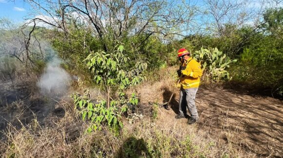 Protección Civil de Nuevo León controla incendio de matorral y pastizal en Allende