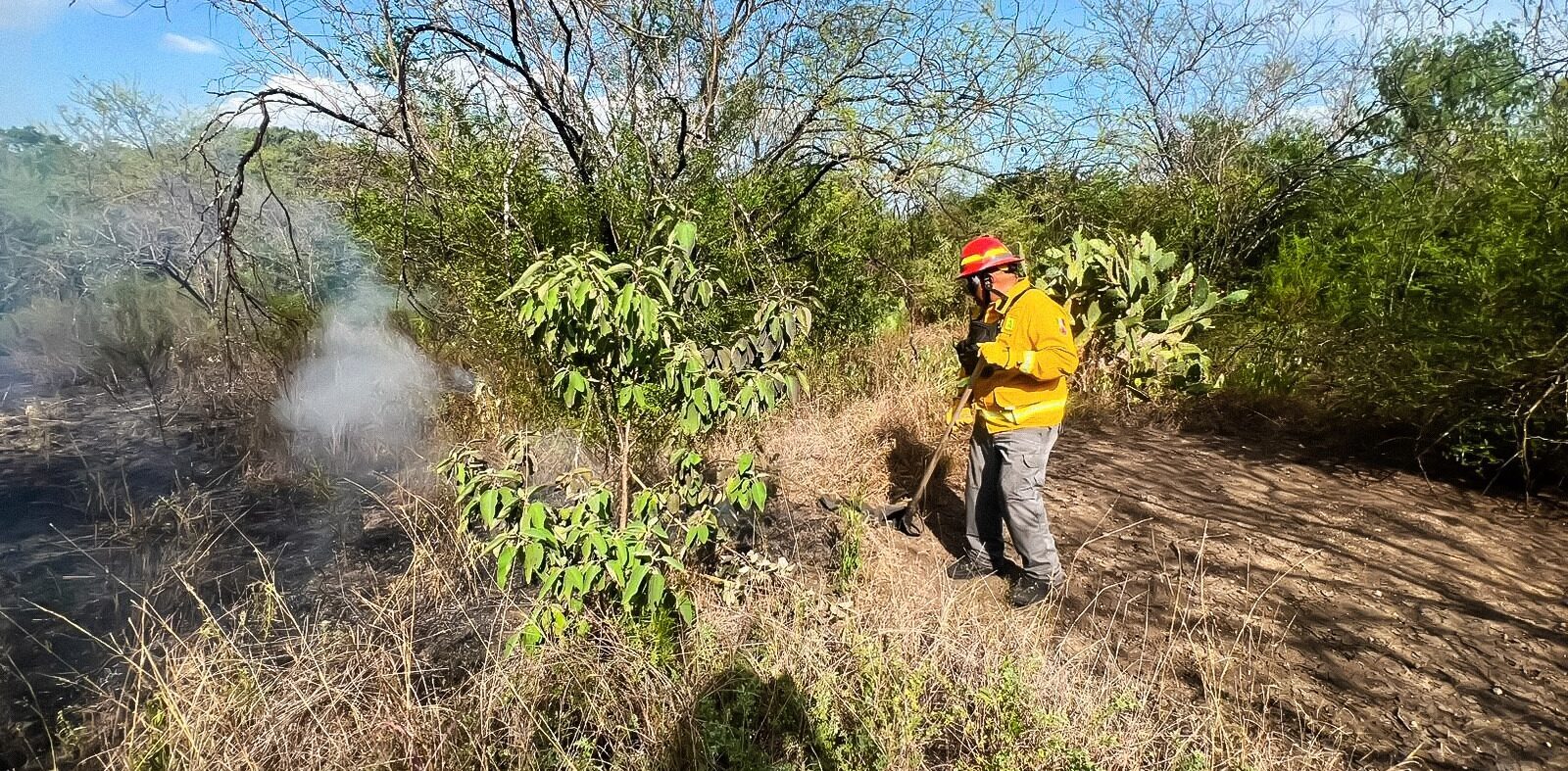 Controlan incendio de matorral bajo y pastizal en Allende