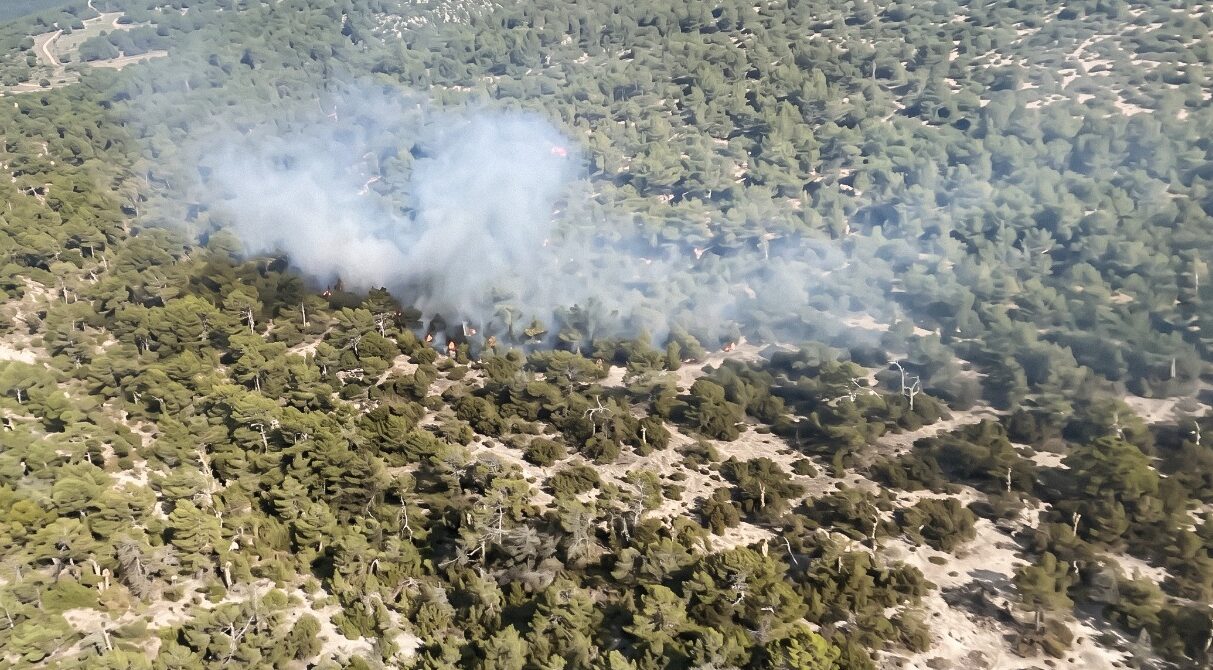 Despliegan operativo aéreo y terrestre por incendio forestal en Galeana