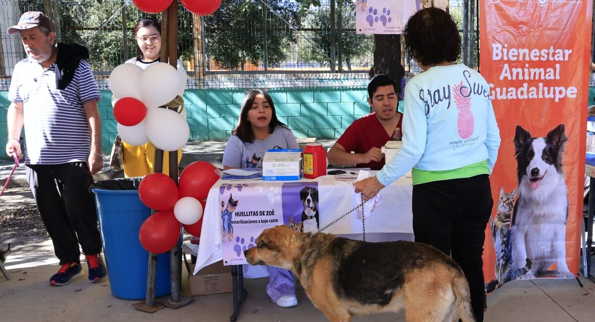 Exhorta el Municipio de Guadalupe a reforzar el cuidado de mascotas ante el incremento de temperaturas