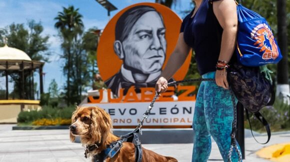 NL: ‘Dejando Huella’ ofrecerá servicios veterinarios gratuitos y adopciones en Juárez