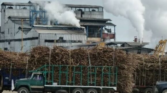 Veracruz busca aprovechar el nuevo acuerdo azucarero con EU; la entidad aporta el 40% de la producción nacional