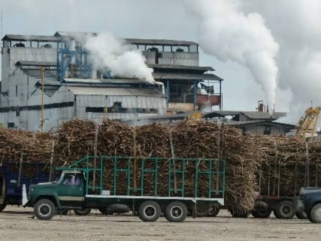 Veracruz busca aprovechar el nuevo acuerdo azucarero con EU; la entidad aporta el 40% de la producción nacional