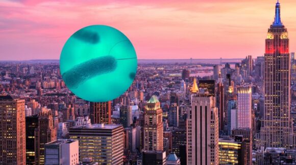 Autoridades de Nueva York reportan primera muerte por brote de legionelosis; confirman 67 casos