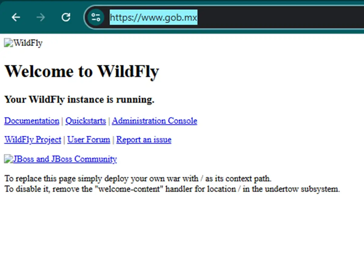Reportan una caída de las páginas web del gobierno de México