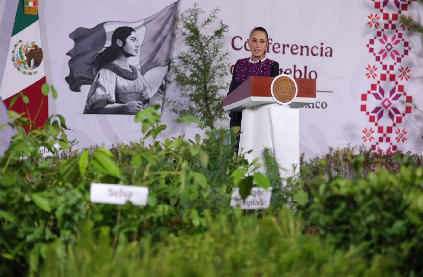 Gobierno de México realizará Jornada Nacional de Reforestación; busca plantar mil 500 millones de árboles para 2030