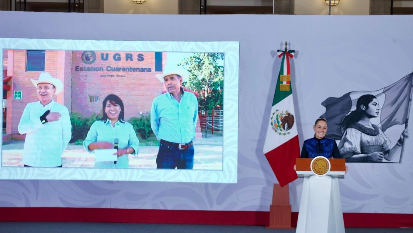 Reabre la frontera de Estados Unidos al ganado mexicano tras más de un año