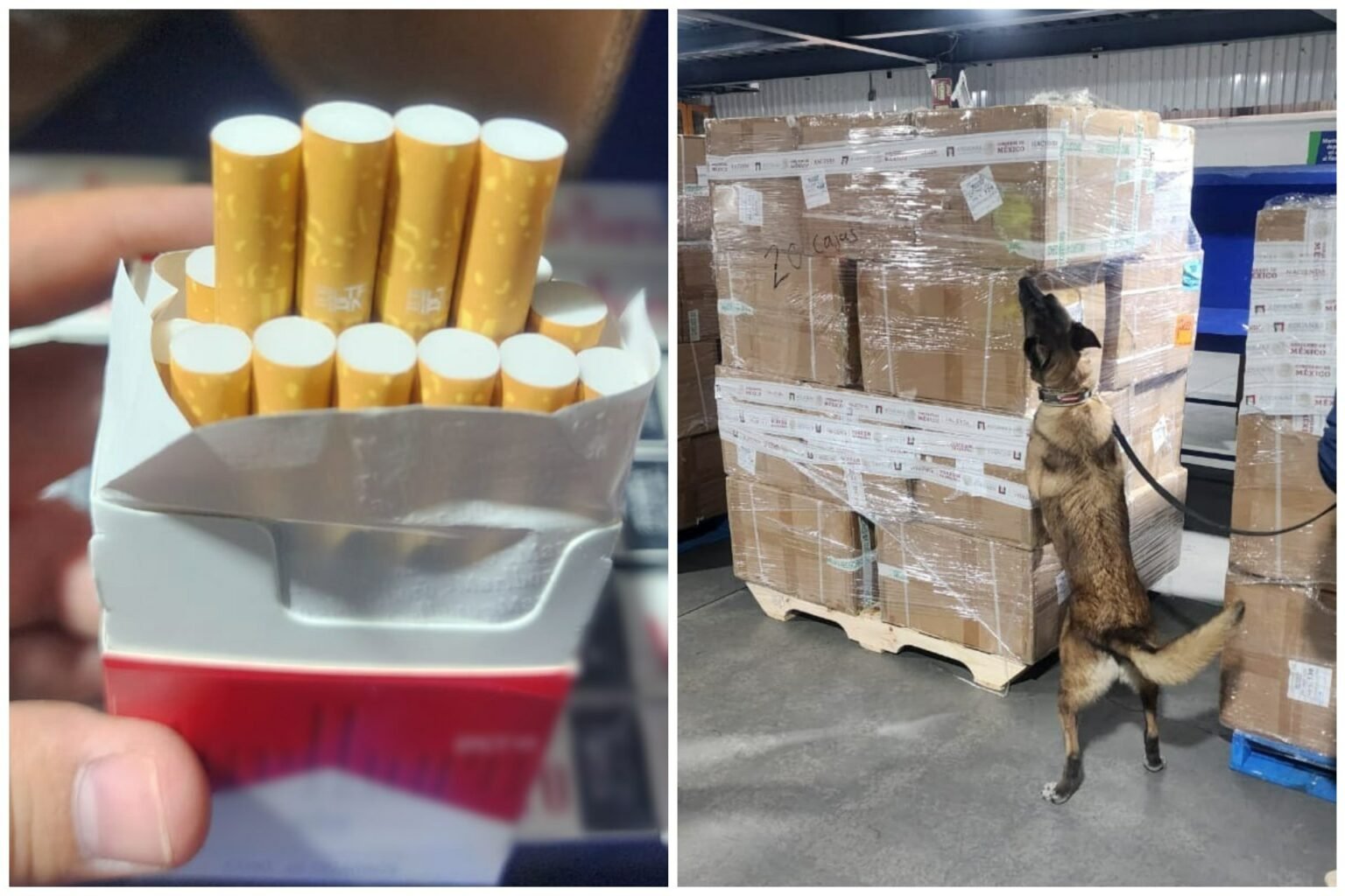 Aseguran 2 millones de cigarros ilegales en el AICM procedentes de Tailandia