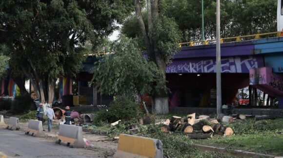 Morebús enfrenta protestas de ambientalistas en Morelia, Michoacán