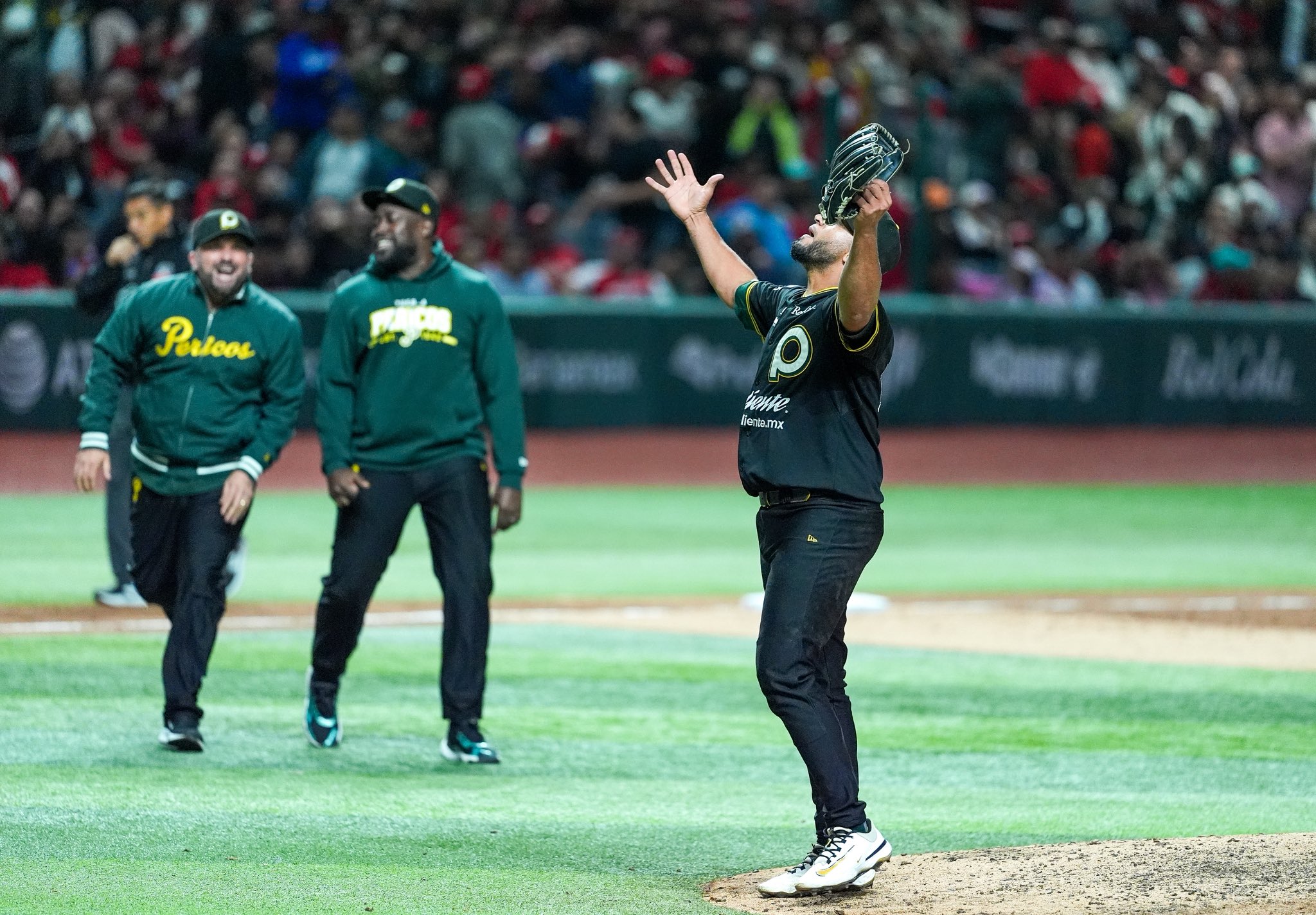 ¡No habrá tricampeonato! Pericos de Puebla elimina a los Diablos Rojos