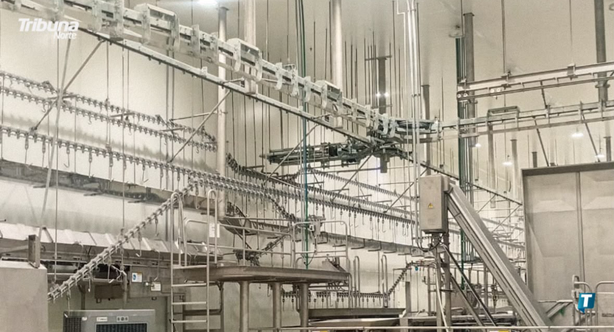 Alistan arranque de planta procesadora de ganado con inversión de $400 millones en Nuevo León