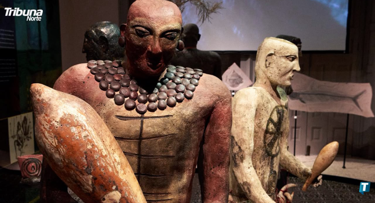 Celebrará el Museo del Palacio dos décadas de difusión histórica y cultural con programa conmemorativo