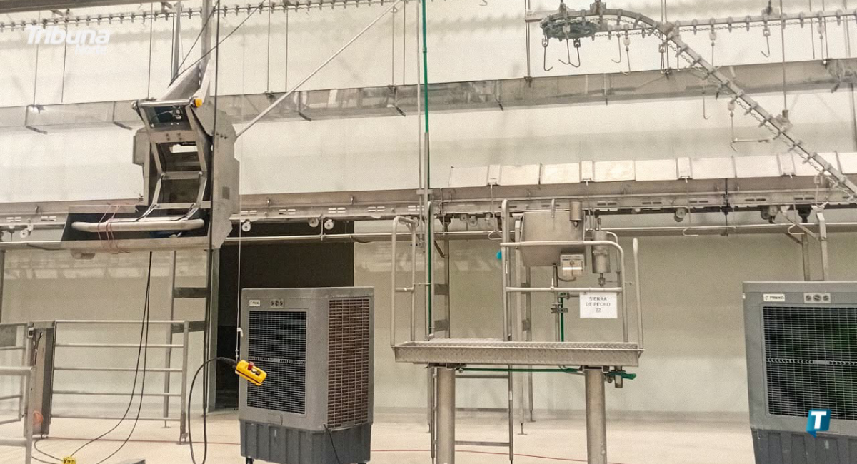 Alistan arranque de planta procesadora de ganado con inversión de $400 millones en Nuevo León