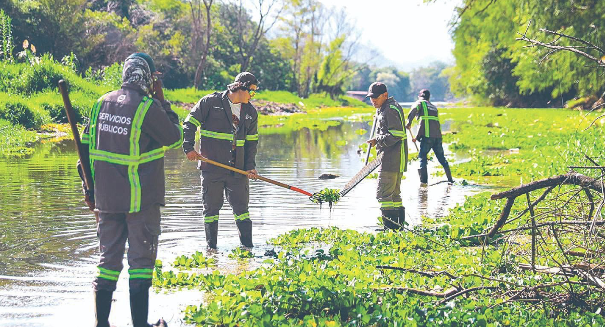 Concluye Santiago retiro de lirio acuático en el arroyo La Chueca y la presa La Boca