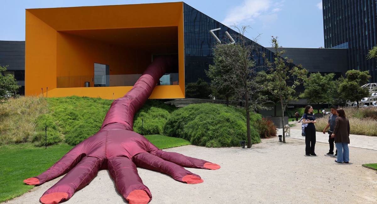 ‘Los tiempos del aire’, exposición gratuita que convierte la respiración en arte en CDMX