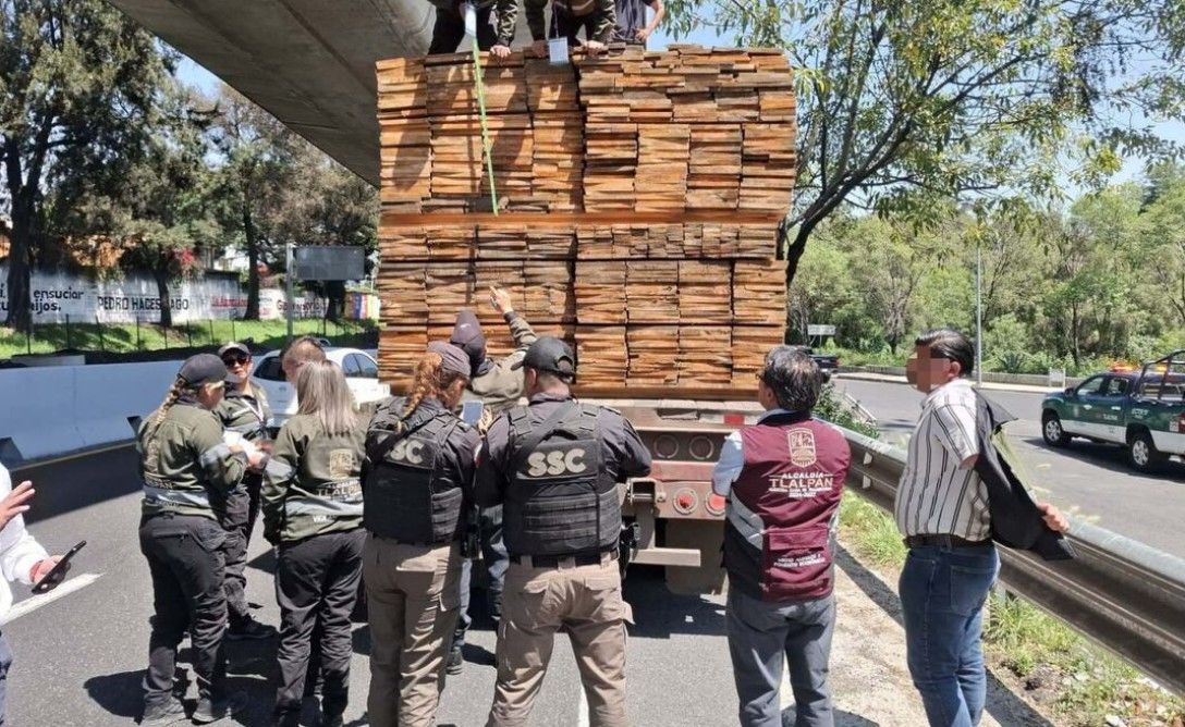 FGR asegura 2 mil metros cúbicos de madera ilegal en bodega de Tlalpan
