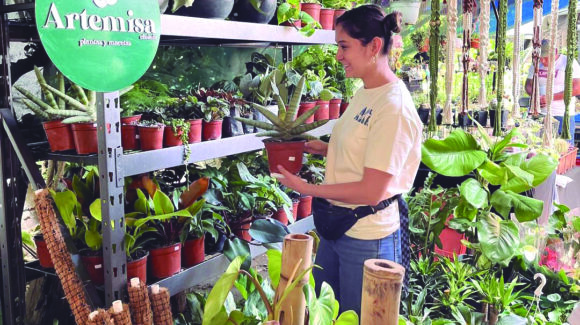 CDMX: Llega el Plant Fest 2026 a la colonia Juárez con más de 50 expositores