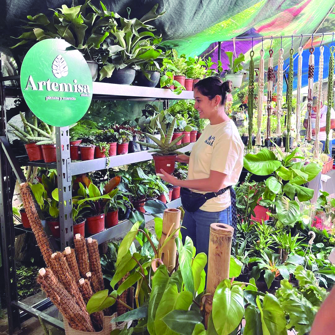 CDMX: Llega el Plant Fest 2026 a la colonia Juárez con más de 50 expositores