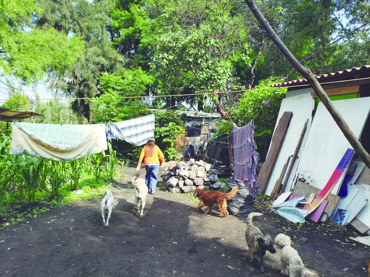 Los centros urbanos de la CDMX pierden 2.5 millones de vecinos