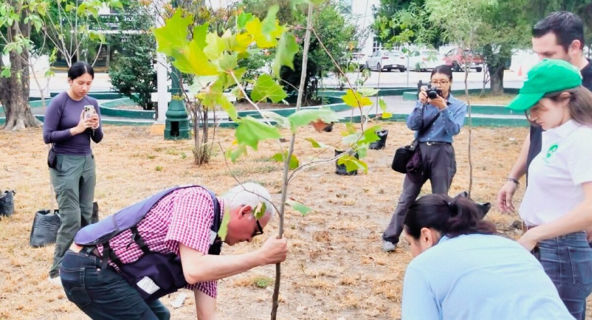 Impulsa Monterrey reforestación con la siembra de árboles nativos en el Parque Obispado