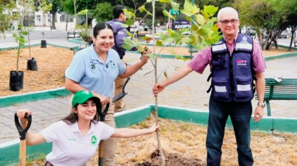 Gobierno de Monterrey apuesta por árboles nativos para reforestar el Parque Obispado