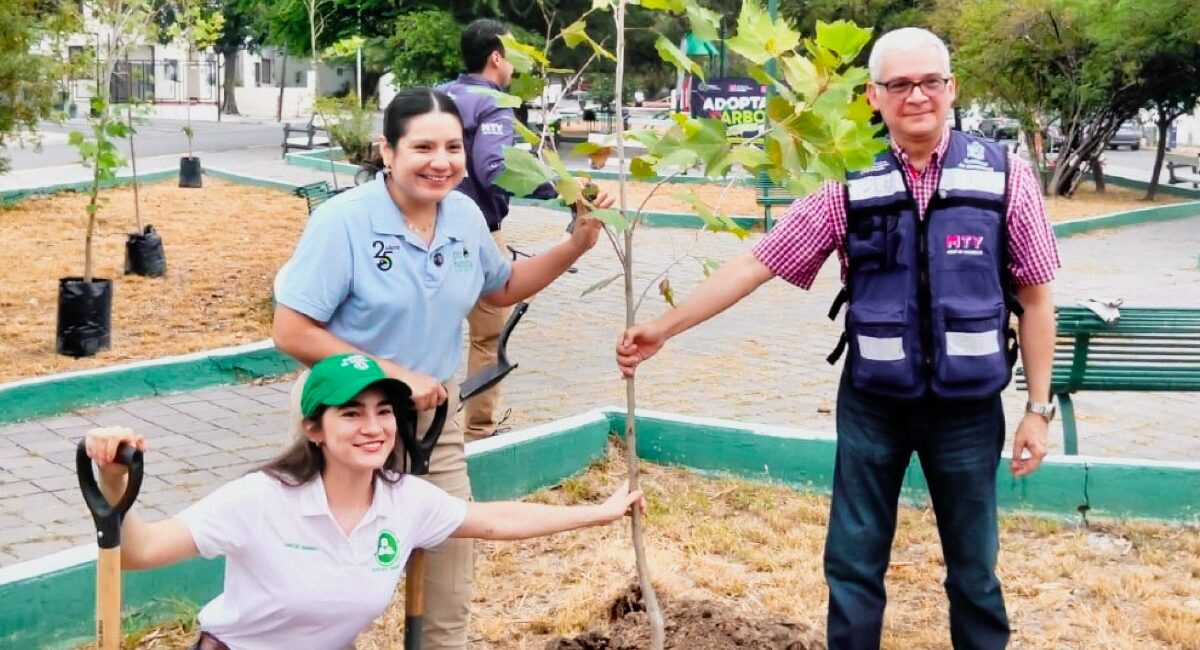 Impulsa Monterrey reforestación con la siembra de árboles nativos en el Parque Obispado