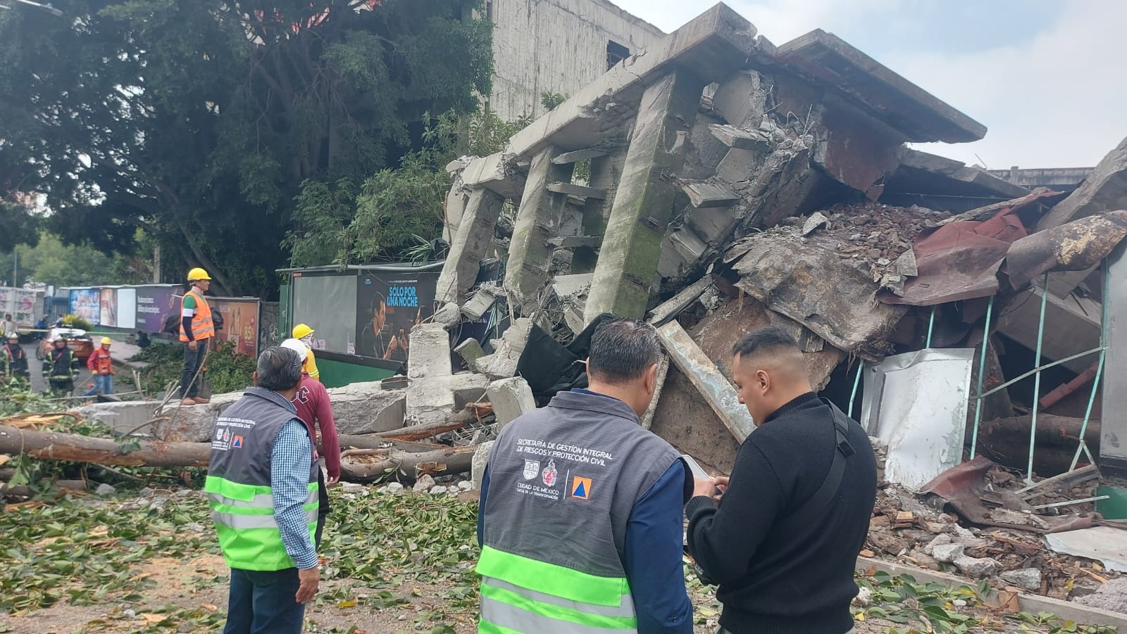 FOTOS: Caída de árbol causa derrumbe en edificio de Viaducto Río Becerra en CDMX; no se reportaron heridos