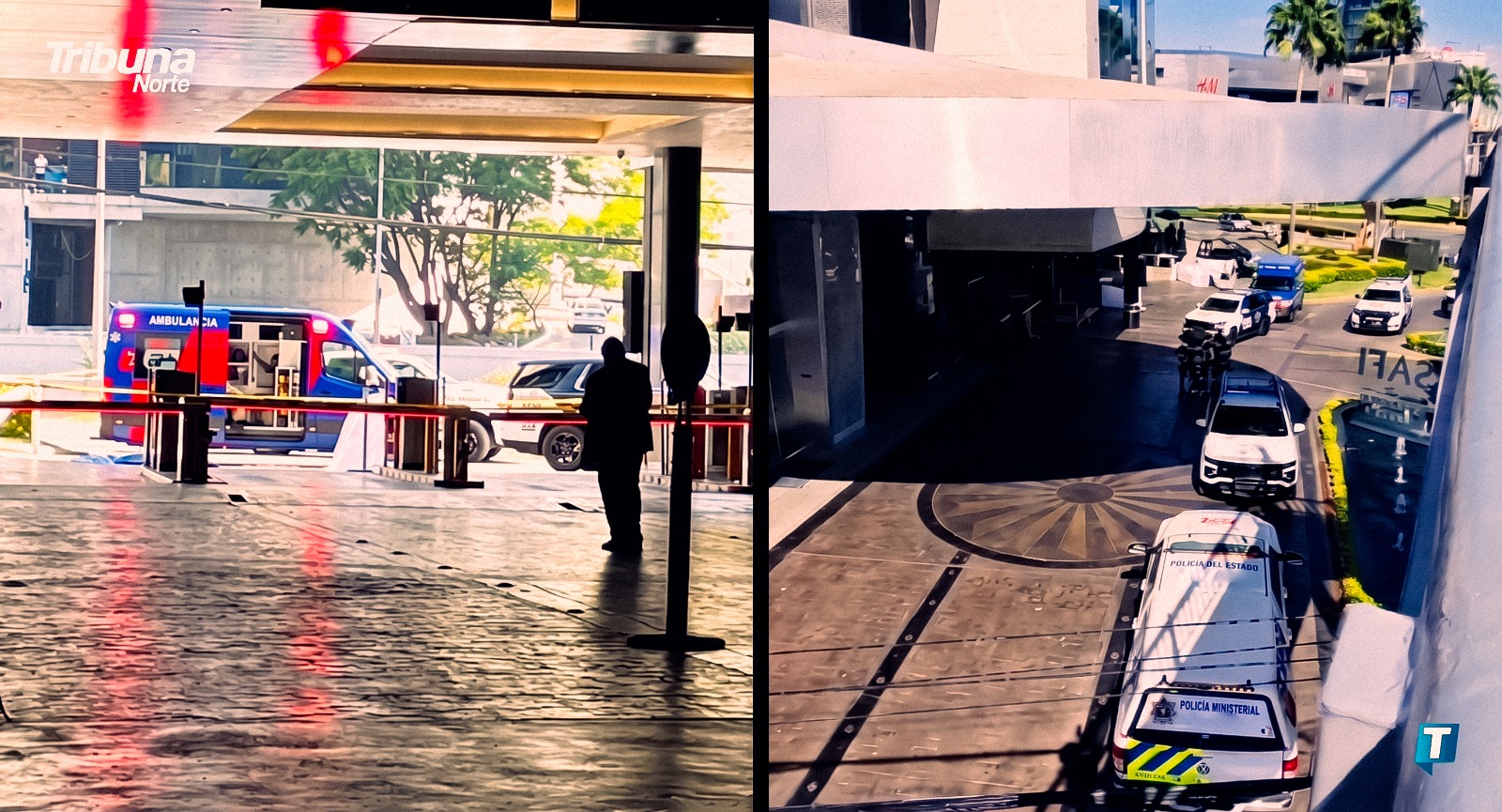 Investigan fallecimiento de una persona tras presunta caída desde edificio en Valle Oriente en San Pedro