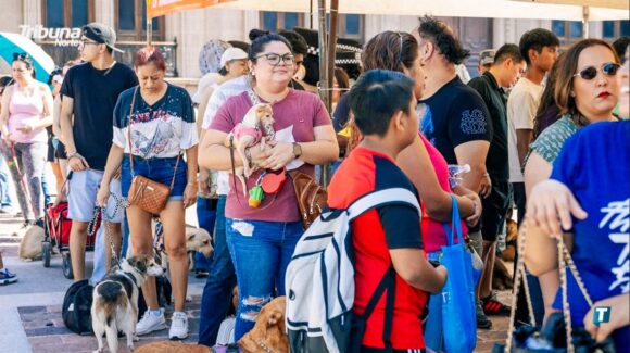 Indaga Nuevo León casi 300 casos por delitos ambientales y logra la detención de nueve personas en cinco años