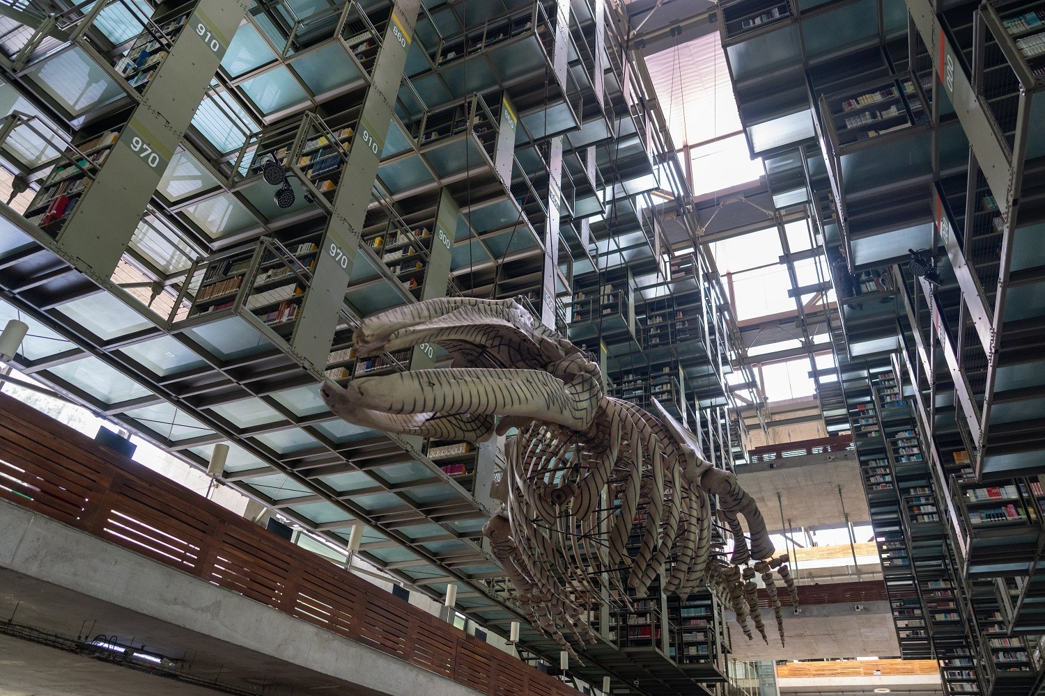 Ciudad de México: La Vasconcelos cumple 20 años entre libros, acero y una ballena